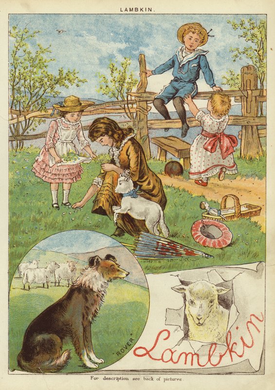 bárányhús (chromolitho) alkotó: English School