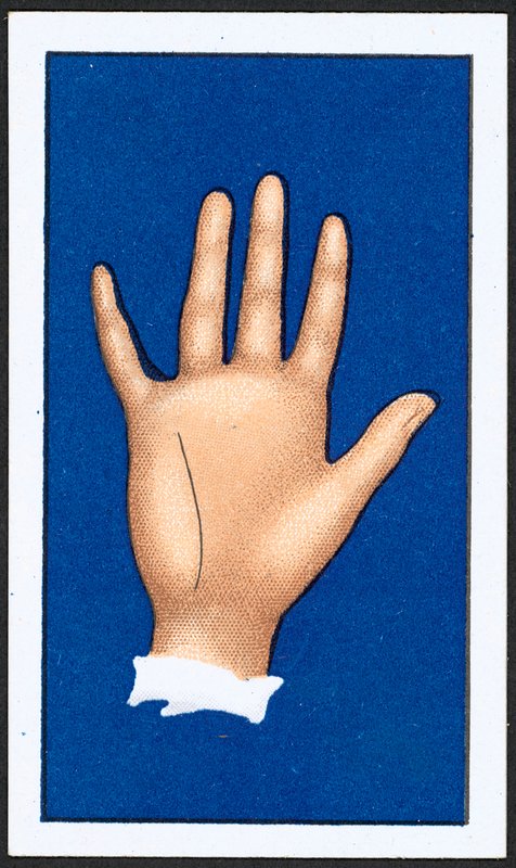 Az intuíció vonala (színes litó) alkotó: English School