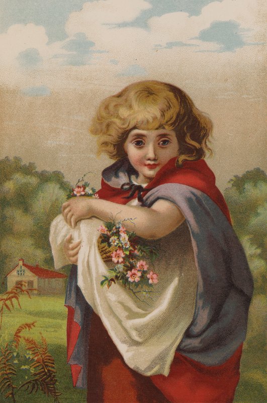 Kis nefelejcs (chromolitho) alkotó: English School