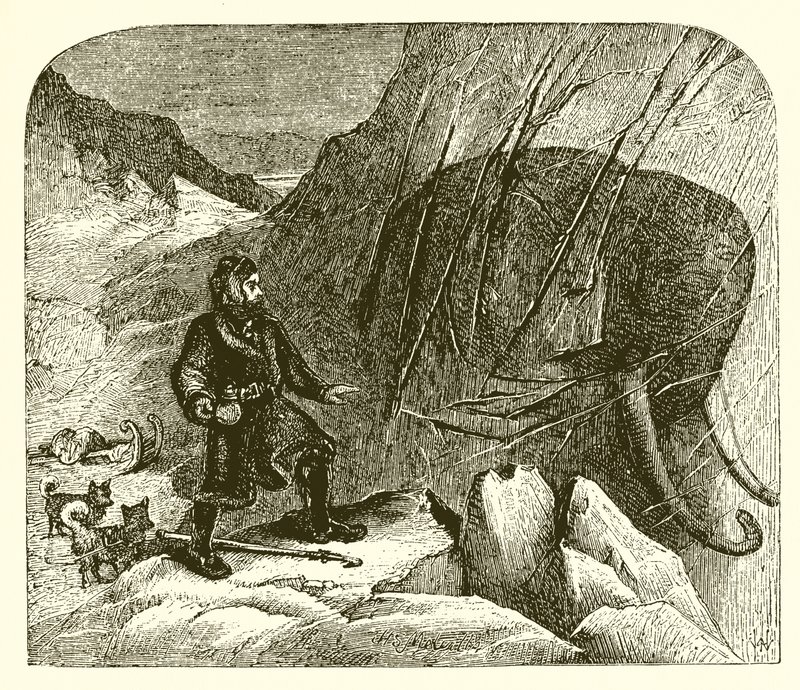 Mamut a jégben alkotó: English School