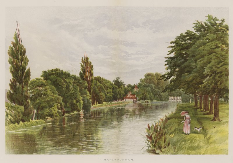 Mapledurham (chromolitho) alkotó: English School