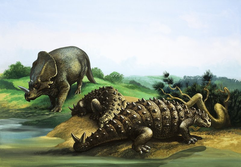 Monoclonius és Scolosaurus alkotó: English School