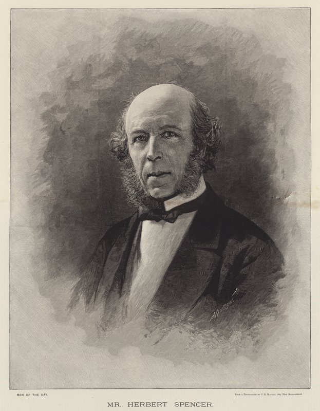 Mr Herbert Spencer (metszet) alkotó: English School