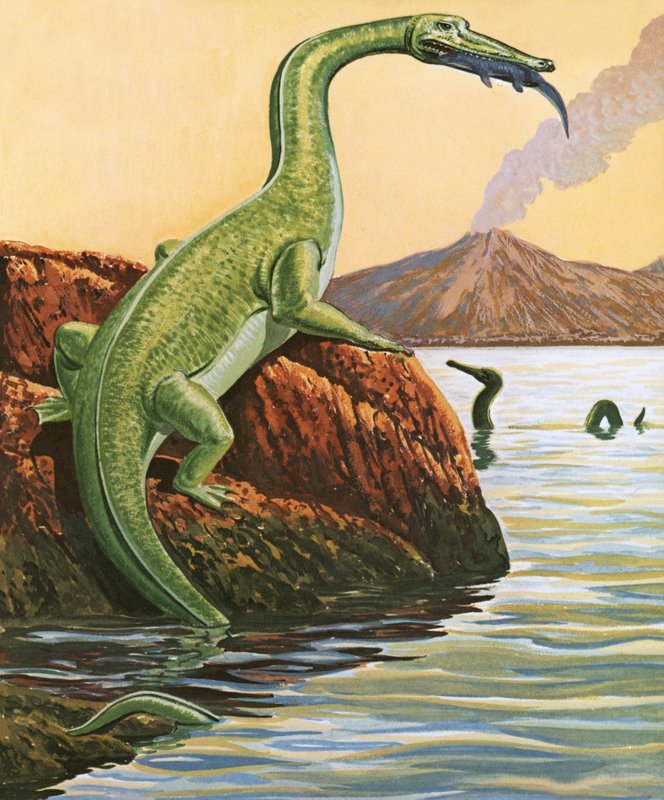 A Nathosaurus étkezés közben alkotó: English School