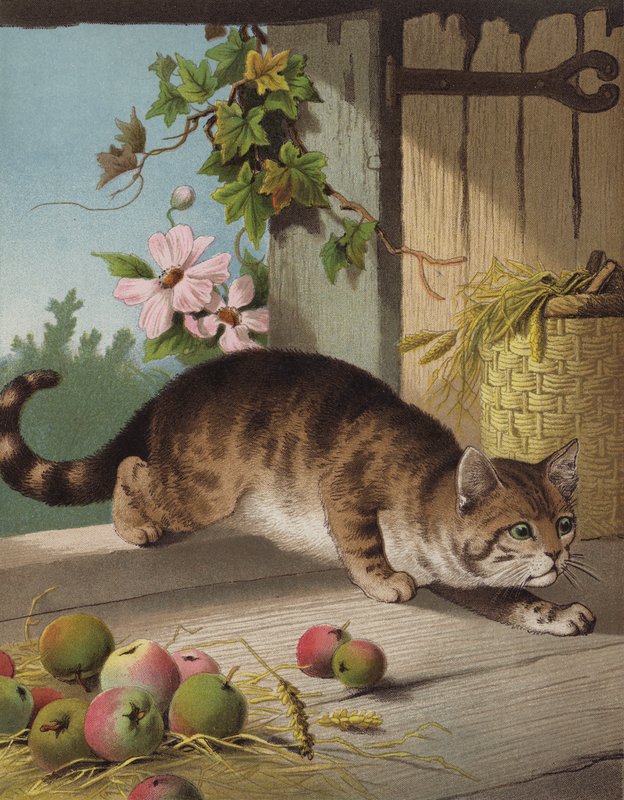 A mi Tomunk (chromolitho) alkotó: English School