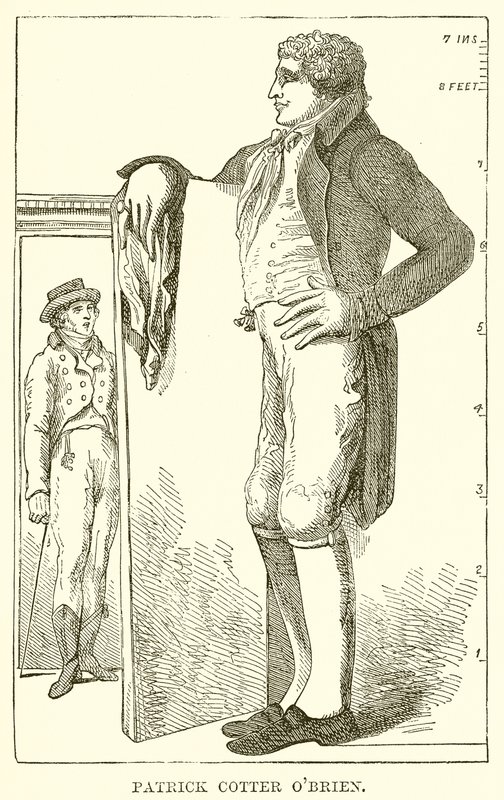 Patrick Cotter Obrien alkotó: English School