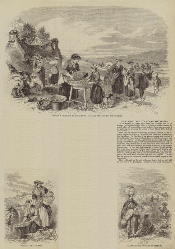Penclawdd és szívkagyló-gyűjtői (metszet) alkotó: English School