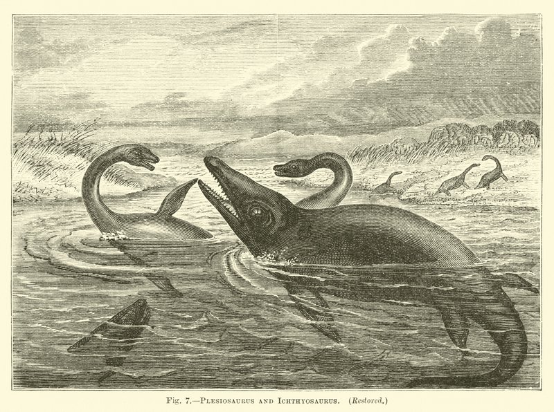 Plesiosaurus és Ichthyosaurus alkotó: English School