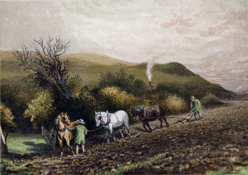 Szántás alkotó: English School