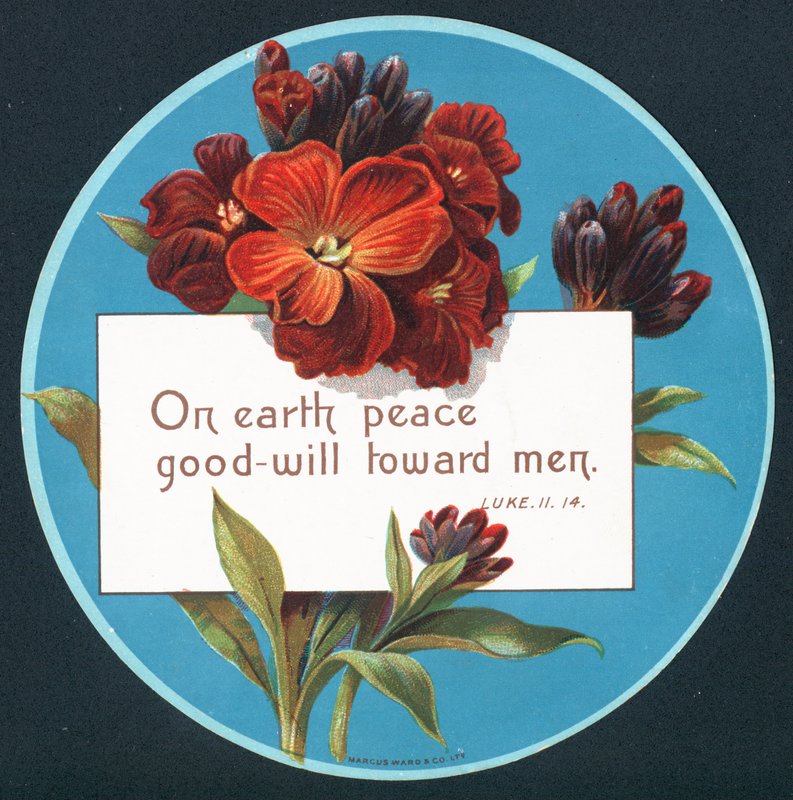 Primula, karácsonyi üdvözlőlap (chromolitho) alkotó: English School