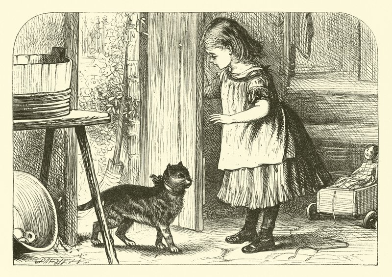 Pussy-Cat, Pussy-Cat alkotó: English School