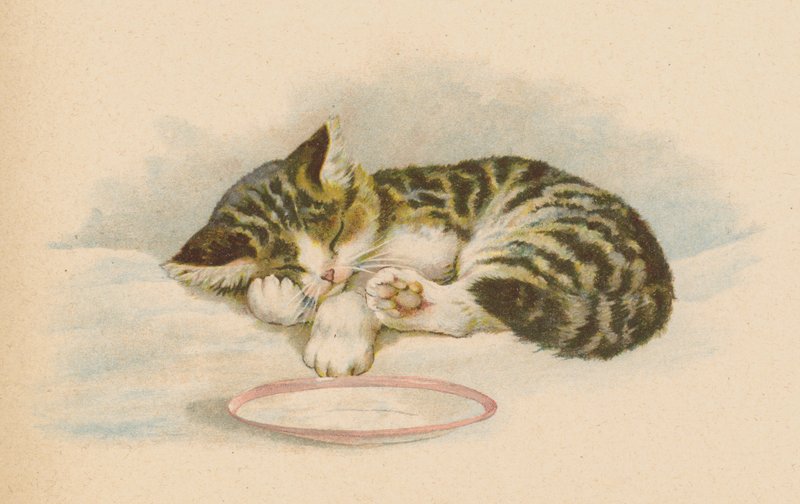 Pussy Cat (chromolitho) alkotó: English School