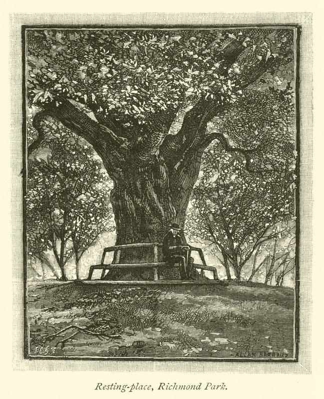 Pihenőhely, Richmond Park alkotó: English School