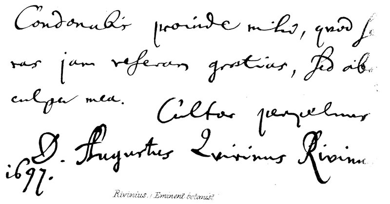 Rivinius, (kiváló botanikus) alkotó: English School