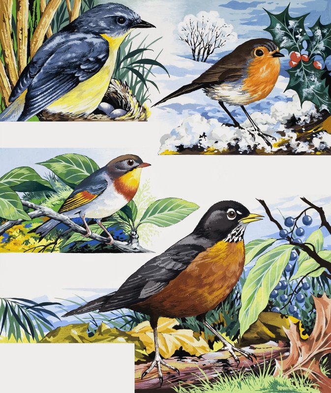 Robins alkotó: English School
