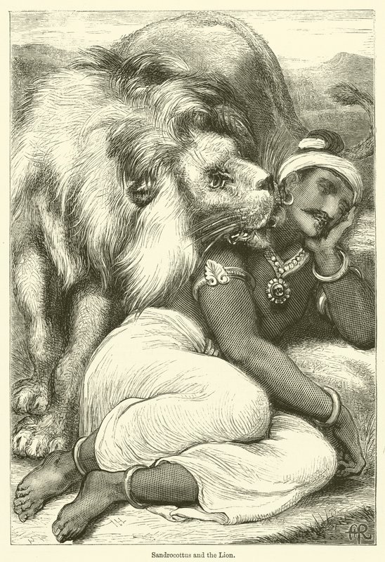 Sandrocottus és az oroszlán (metszet) alkotó: English School