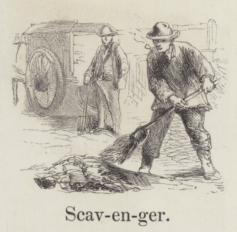 Scavenger (metszet) alkotó: English School