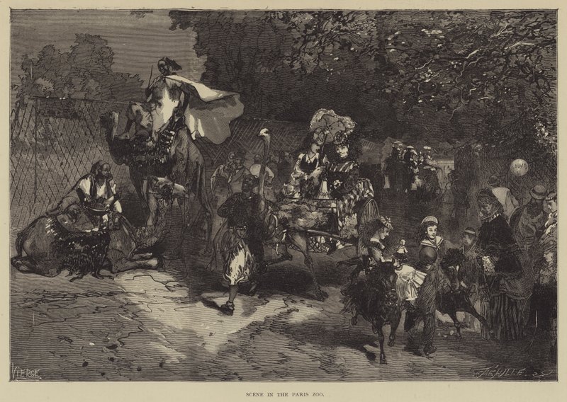 Jelenet a párizsi állatkertben (metszet) alkotó: English School