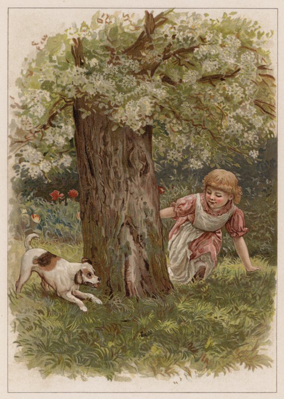 Shappy (chromolitho) alkotó: English School