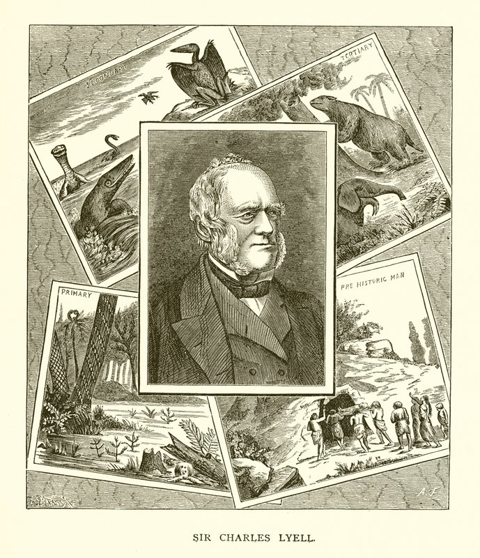 Sir Charles Lyell alkotó: English School
