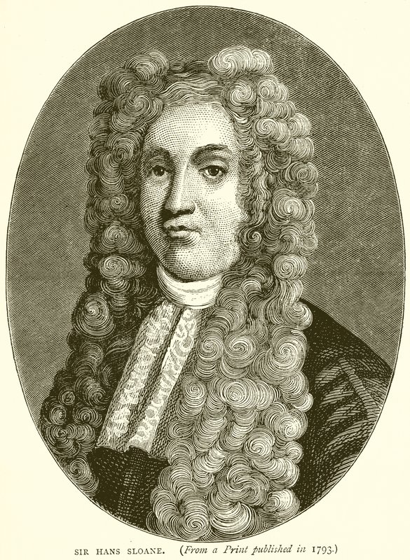 Sir Hans Sloane alkotó: English School