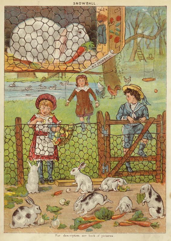 Hógolyó (chromolitho) alkotó: English School