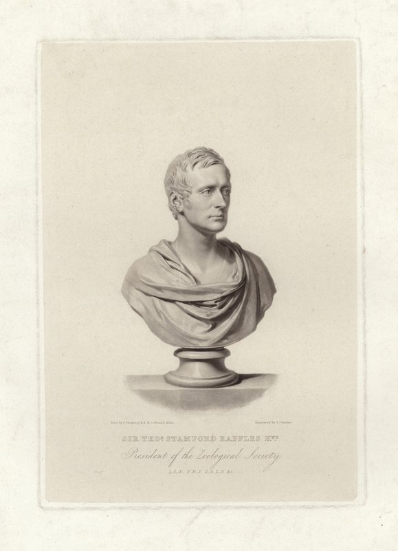 Stamford Raffles alkotó: English School