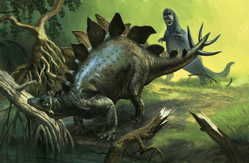 Stegosaurus alkotó: English School