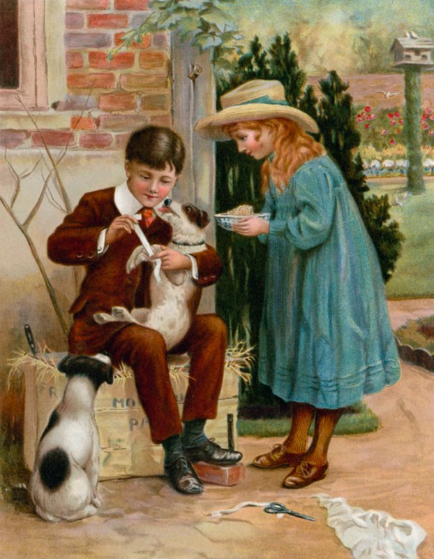 A fiú doktor alkotó: English School