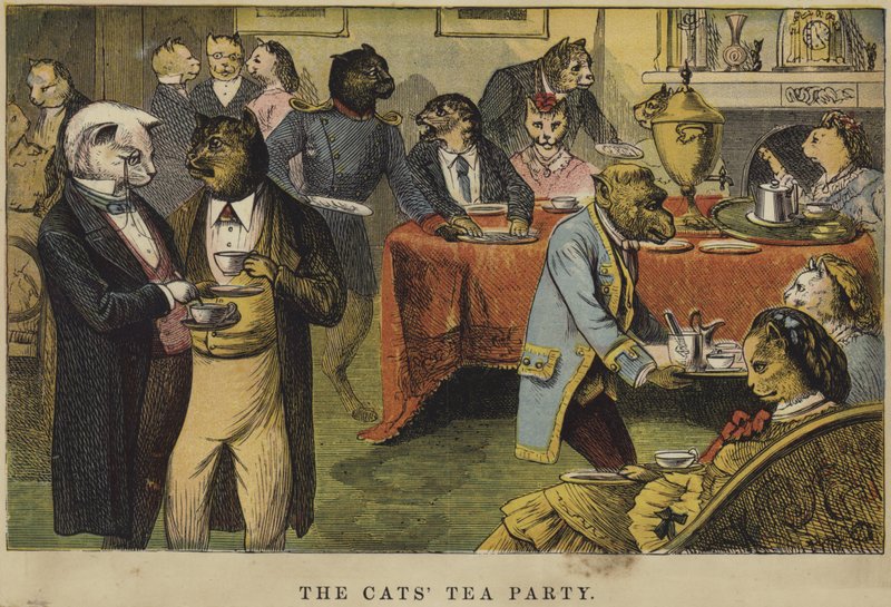 The Cats Tea Party alkotó: English School