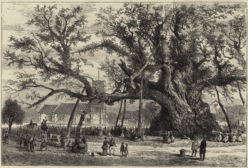 A Cowthorpe tölgy alkotó: English School