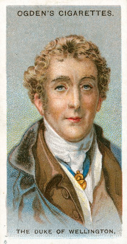 Wellington hercege alkotó: English School