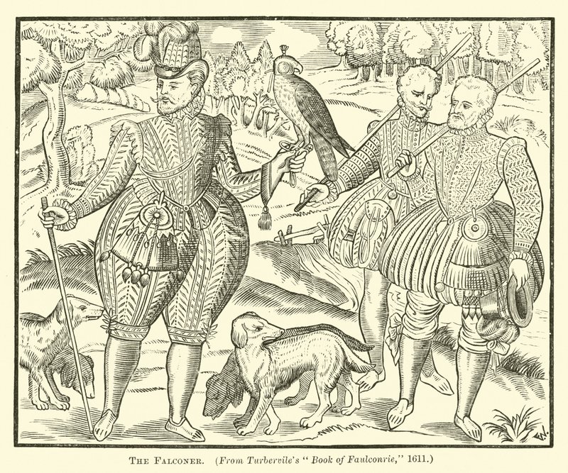 A Falconer alkotó: English School