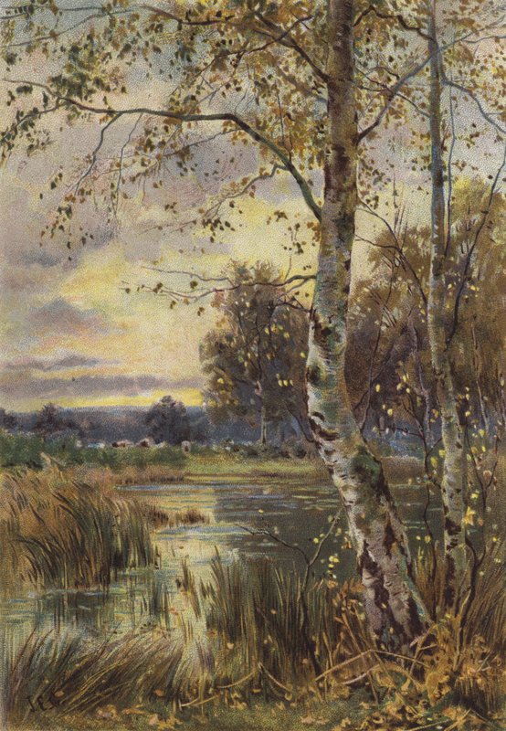 A hulló levél (chromolitho) alkotó: English School