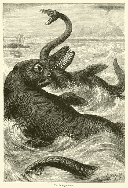 Az Ichthyosaurus (metszet) alkotó: English School
