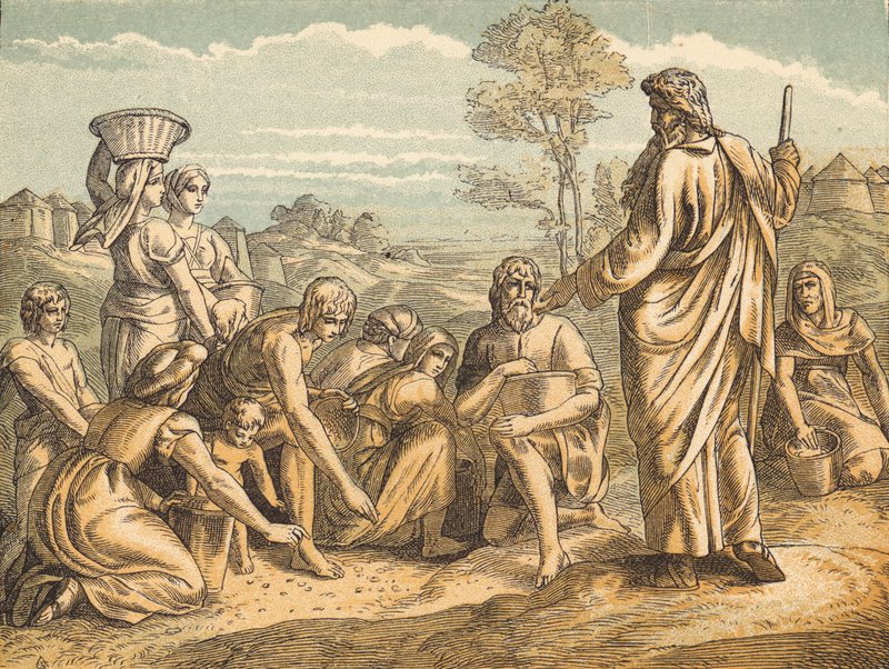 Manna (színes metszet) alkotó: English School