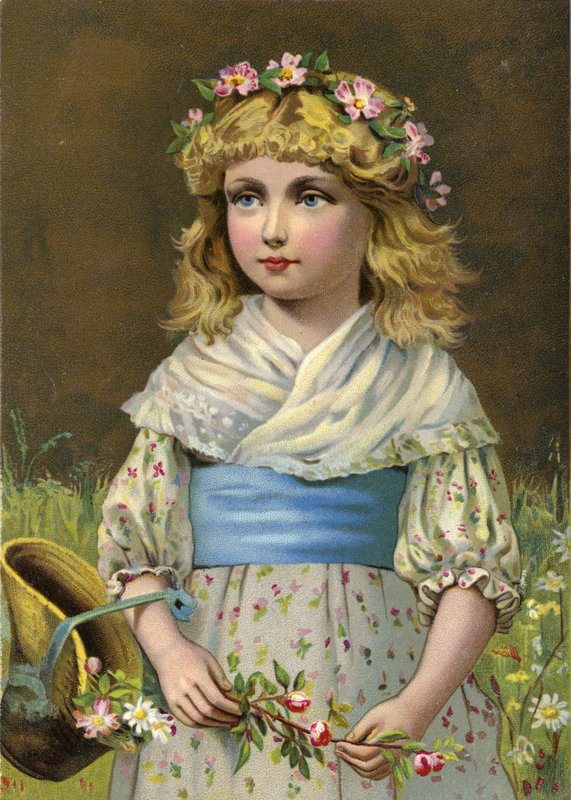 A Háztartás házi kedvence alkotó: English School