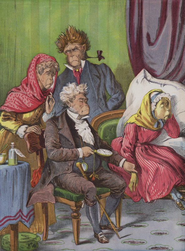Az orvos (chromolitho) alkotó: English School