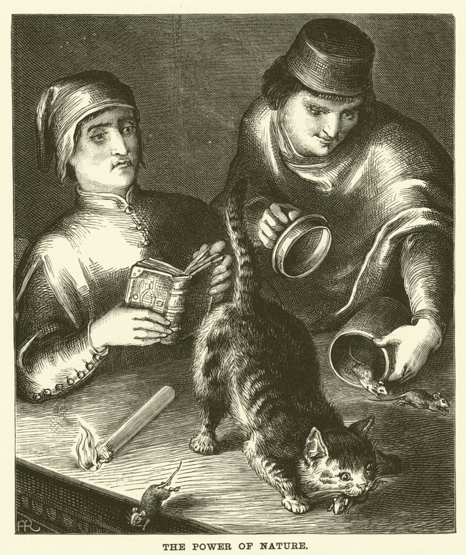 A természet ereje (metszet) alkotó: English School