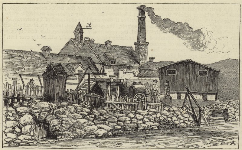 A királynő Balmoralban alkotó: English School
