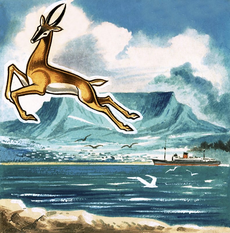 A Springbok, Dél-Afrika jelképe alkotó: English School