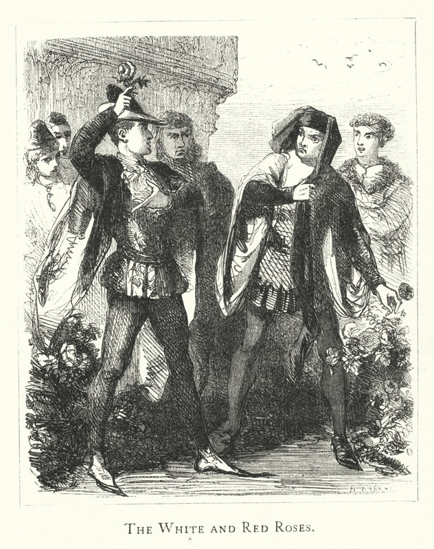 A fehér és vörös rózsák (metszet) alkotó: English School