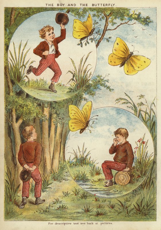 A fiú és a pillangó (chromolitho) alkotó: English School