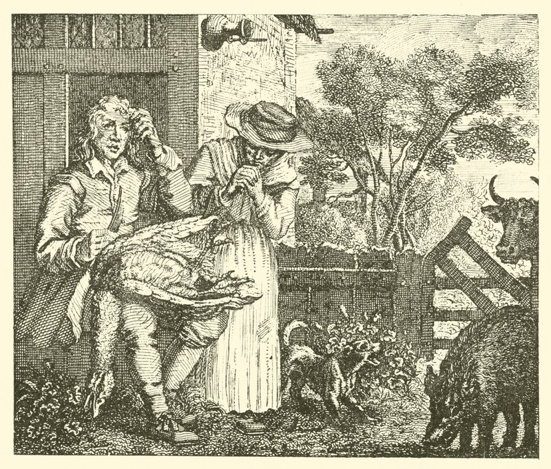 Az ember és a lúd (metszet) alkotó: English School