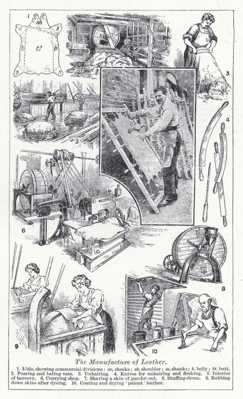 Bőrgyártás (litho) alkotó: English School