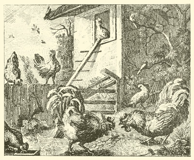 A fogoly és a kakasok (metszet) alkotó: English School