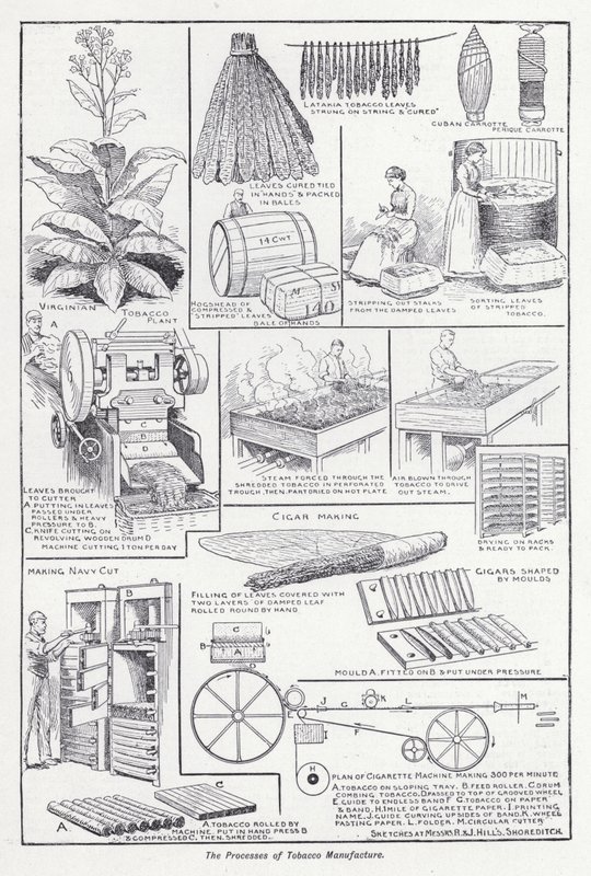 A dohánygyártás folyamatai (litho) alkotó: English School