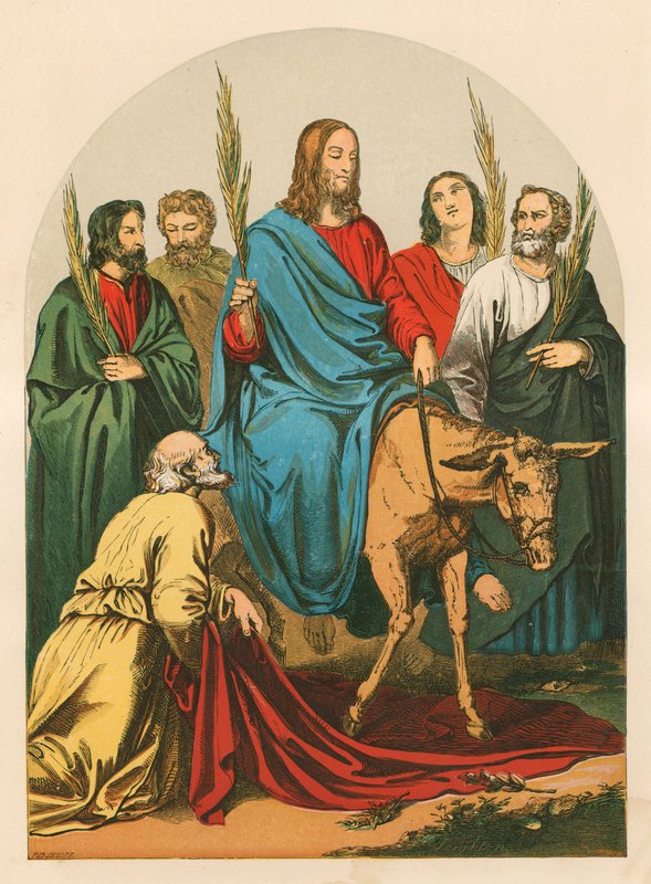 A diadalmas belépő alkotó: English School