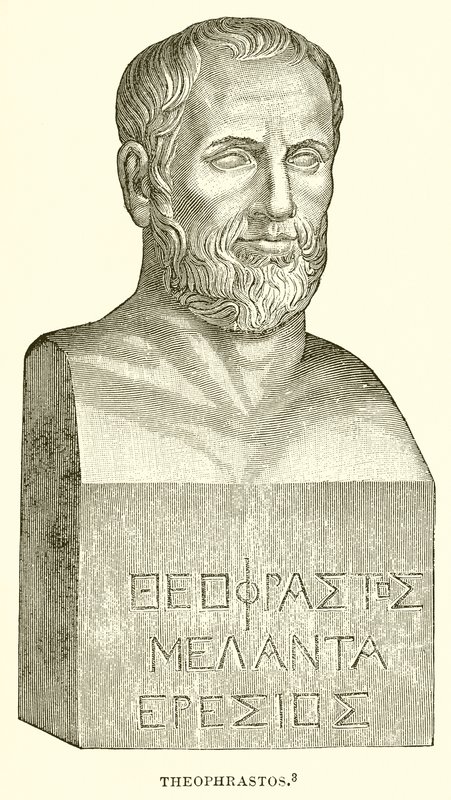 Theophrasztosz alkotó: English School