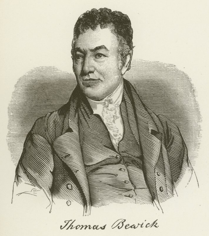 Thomas Bewick (metszet) alkotó: English School